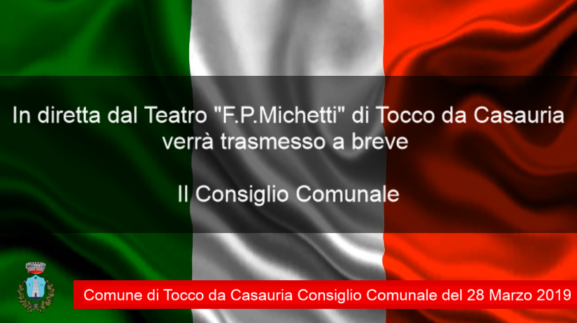 CONSIGLIO COMUNALE 28/03/2019
