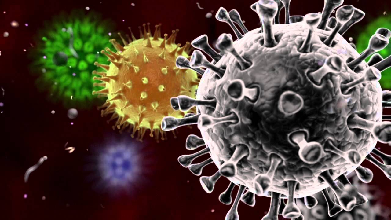 NUOVO CORONAVIRUS - LE PRINCIPALI INFORMAZIONI.